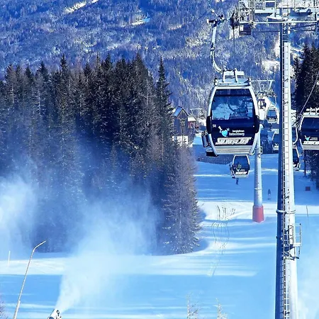 Almapartment Pichl 7-5 *