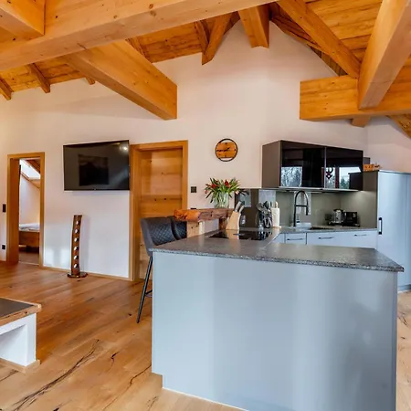 Almapartment Pichl 7-5 Apartment