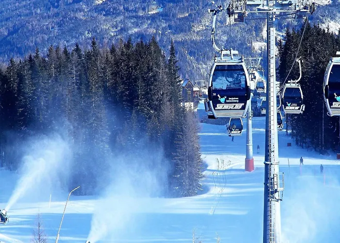 Almapartment Pichl 7-5 *